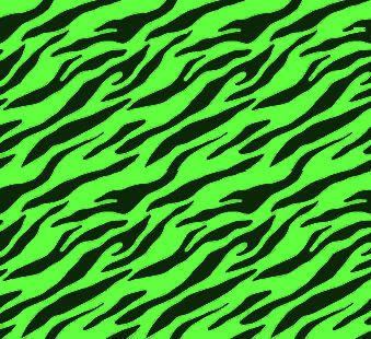 Lime Green Wallpaper on Lime Green Zebra Image   Lime Green Zebra Graphic Code