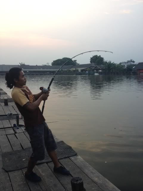 Posted Image