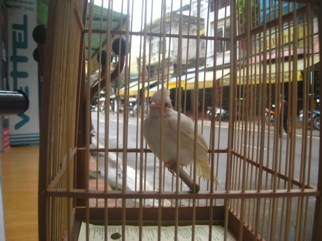 IMG_4175.jpg