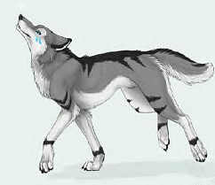 wolf.png anime grey black wolf (smaller) image by Ancient_Locket