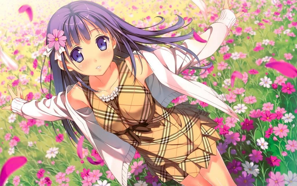  photo anime-girl-flowers-field-1920x1200.jpg