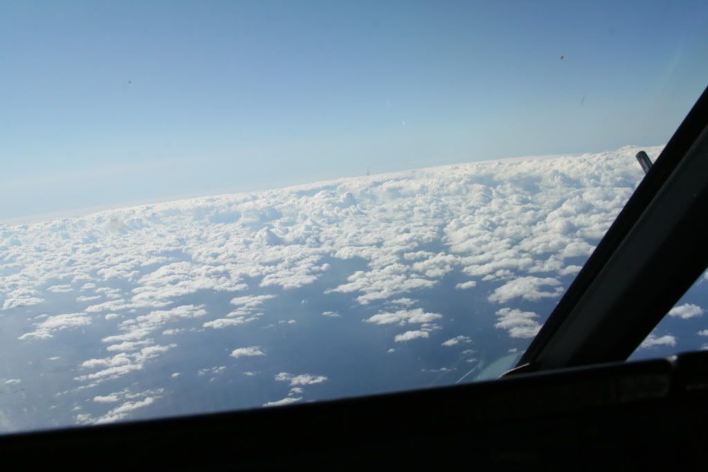 IMG_4100.jpg