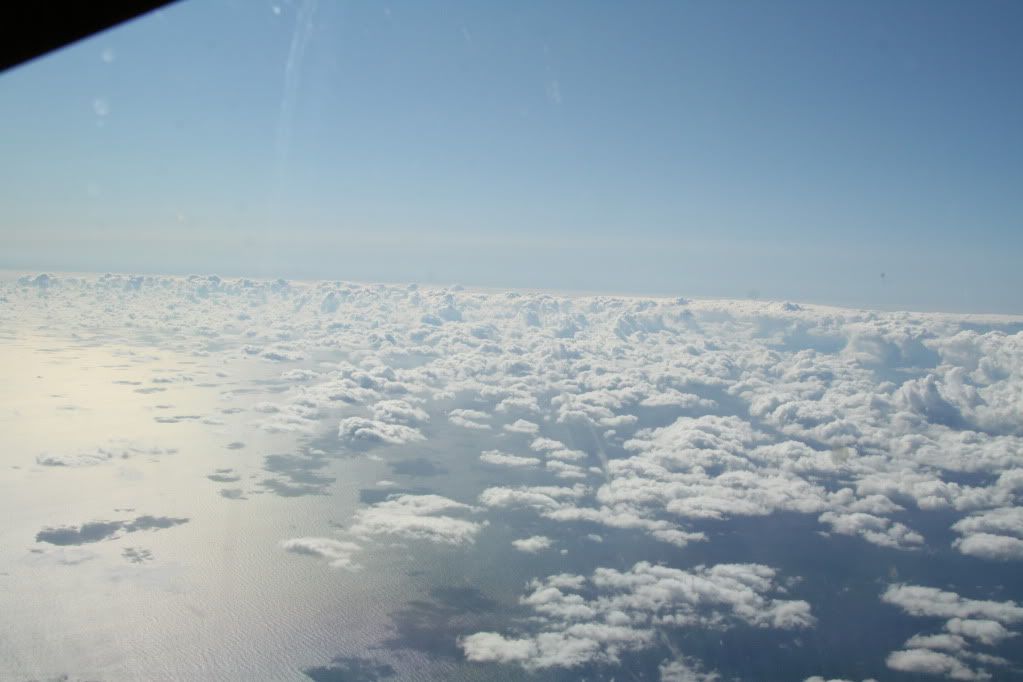 IMG_4101.jpg