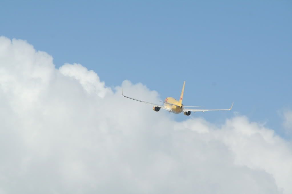 IMG_4126.jpg