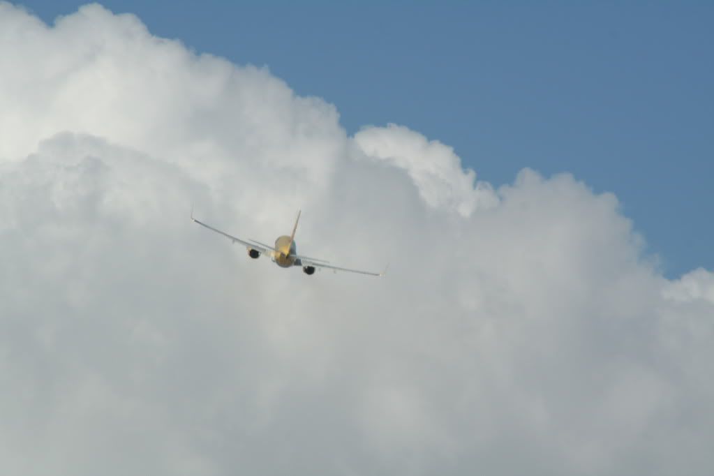 IMG_4127.jpg