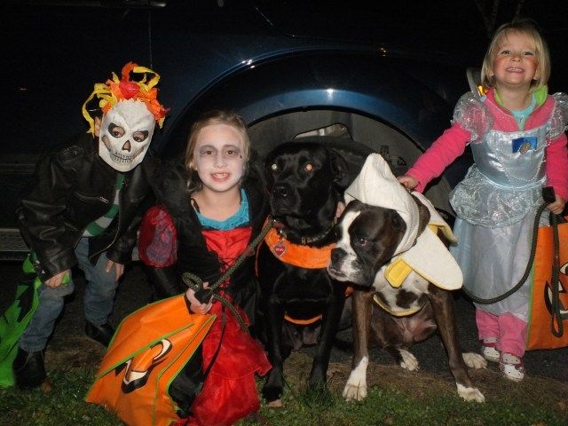 Happy Halloween! (my trick or treaters) - Goats