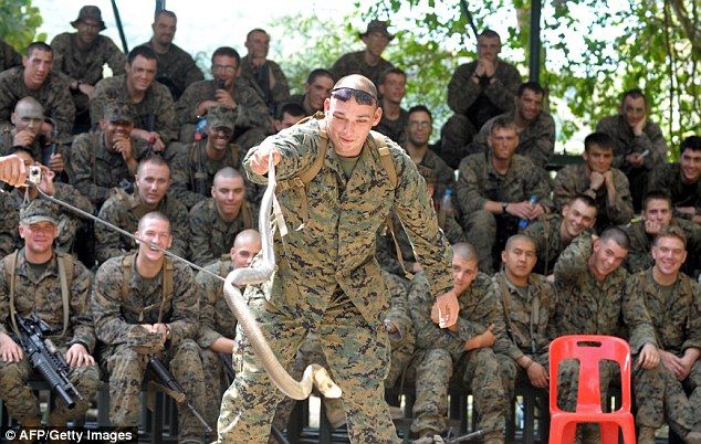 Para prajurit marinir Amerika sedang berlatih menjinakan Cobra  bahkan meminum darah ular Cobra