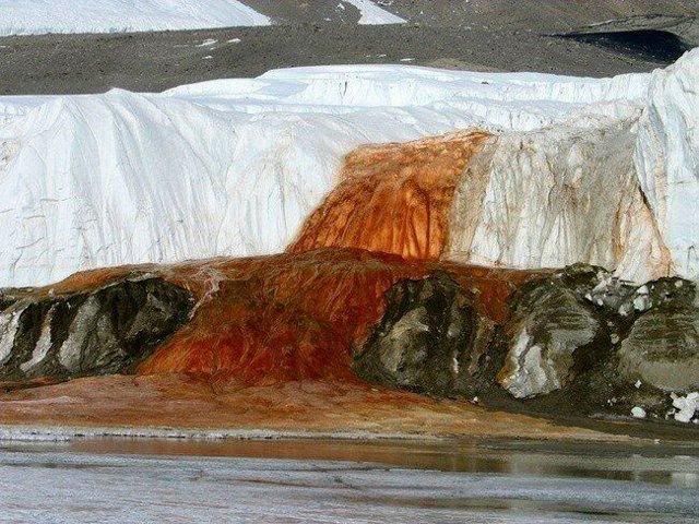 Para Ilmuwan memperkirakan cairan seperti darah ini berasal dari mikroba kuno yang terperangkap di dalam celah es