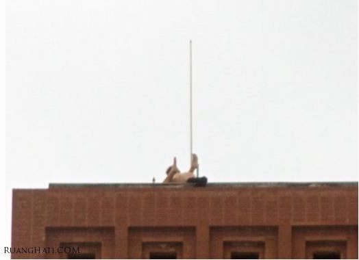 Mahasiswa Nge-Seks di Atas Atap Kampus