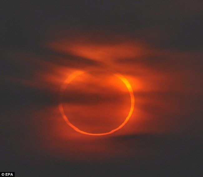 Foto-foto indah gerhana matahari cincin 15 Januari 2010