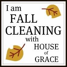 FALLCLEANING