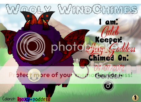 User Image